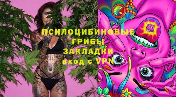 хмурый Абинск